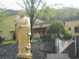 九江万果寺