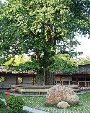 泰州古寿圣寺